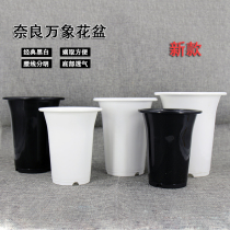 New Japanese Nara Basin Creek Flower Pot Twelve Rolls of Sky Yuyu Yu Fan Vientiane Greenhouse