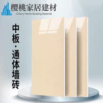 Negative ion all-body plate all-ceramic tile 400x800 living room wall tile kitchen bathroom wall tile FZ8405