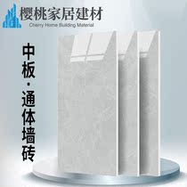 Negative ion whole body plate all porcelain tile 400x800 living room wall tile kitchen bathroom wall tile FZ8403