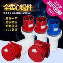 Zhegong IP67 waterproof industrial plug and socket connector 63A 125A3 core 4P5 hole aviation male and female Marine