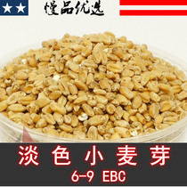 YL201(LM Pale Wheat Sprouts Pale Wheat) (Domestic Wheat Sprouts)