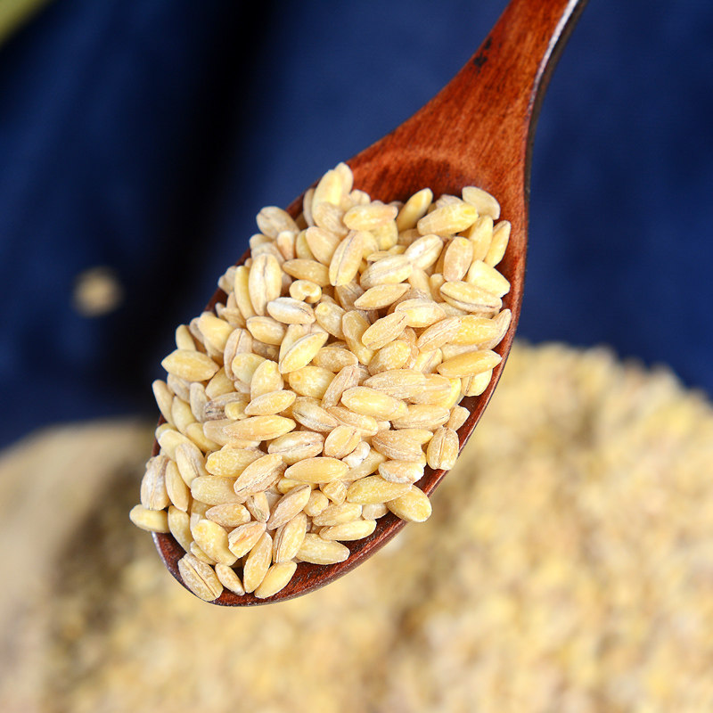 打粮趣 大麦仁 大麦 去皮麦仁 大麦米粗粮杂粮粥五谷杂粮 500g