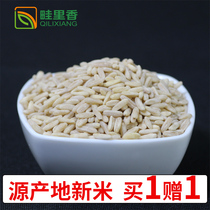 Oatmeal rice Germ rice 2020 New Inner Mongolia Whole germ naked raw oat kernels broken wall ready-to-eat 500g Buy 1 Get 1 free