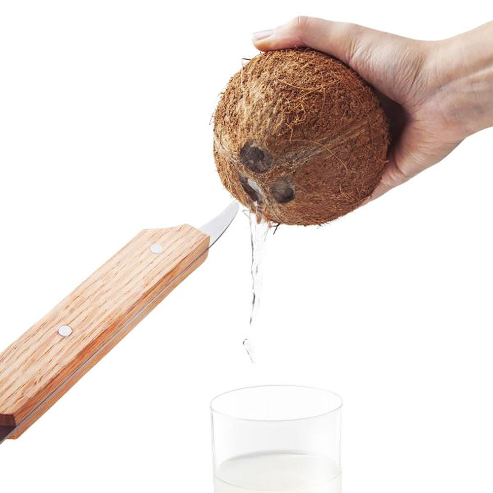 荷兰进口vacu vin神器椰子开孔器椰子刀轻松开壳器创意开椰子工具
