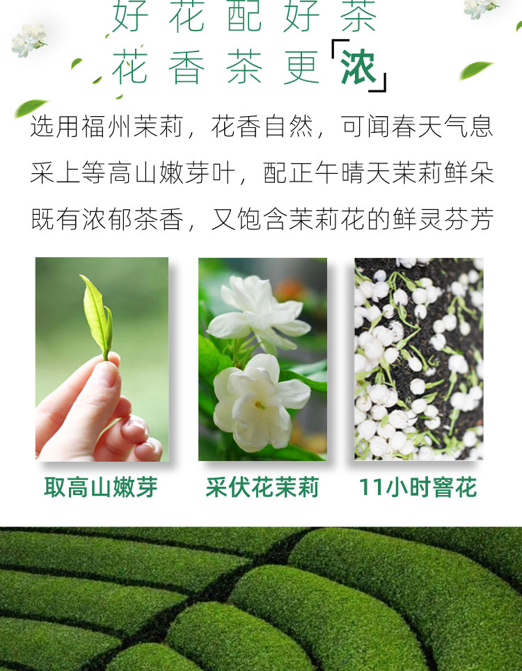 【首单+签到】茉莉花茶正宗大白毫鲜花100g