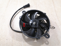Big Sheep Scooter Silver Blade BJ250T-8 Cooling Fan Assembly Water Tank Assembly Cooler Radiator Fan