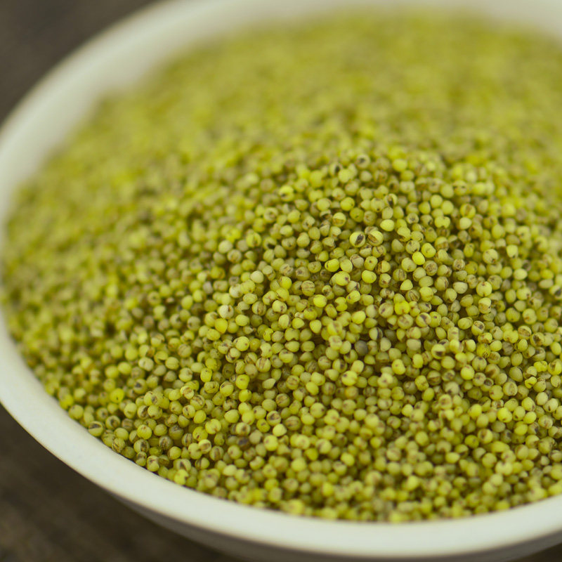 乐活氏 有机绿小米700g 赤峰小米 健康杂粮 真空包装 一级绿小米