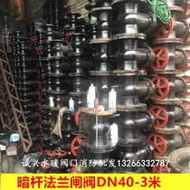 Z45T-10 cast iron flange gate valve dark rod flange gate valve water pipe gate valve switch water gate valve 10080