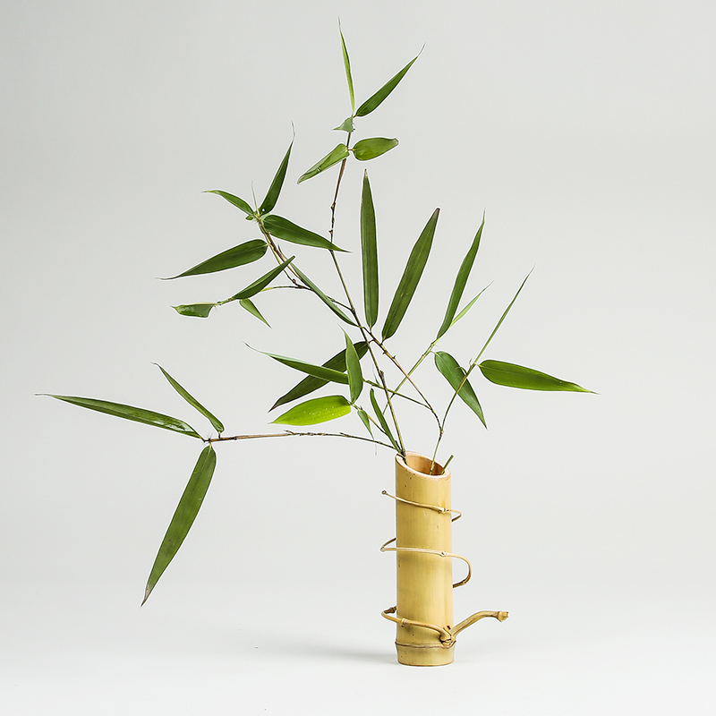 花房姑娘养成记——东西方插花哪家强?