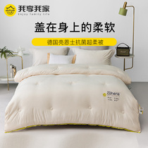 Quilt winter quilt spring and autumn quilt Four Seasons universal quilt core single double air conditioner antibacterial polished quilt thick and warm