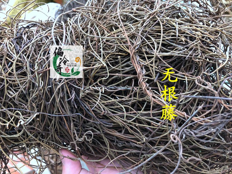 偏冷奇中草药材 无根藤 无娘藤 无爷藤 金丝藤 面线藤 500克