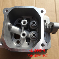 Gasoline lawn mower 1P65 1P56 cylinder head 1P70 gasoline lawn mower 1P68 cylinder head GXV160 cylinder head