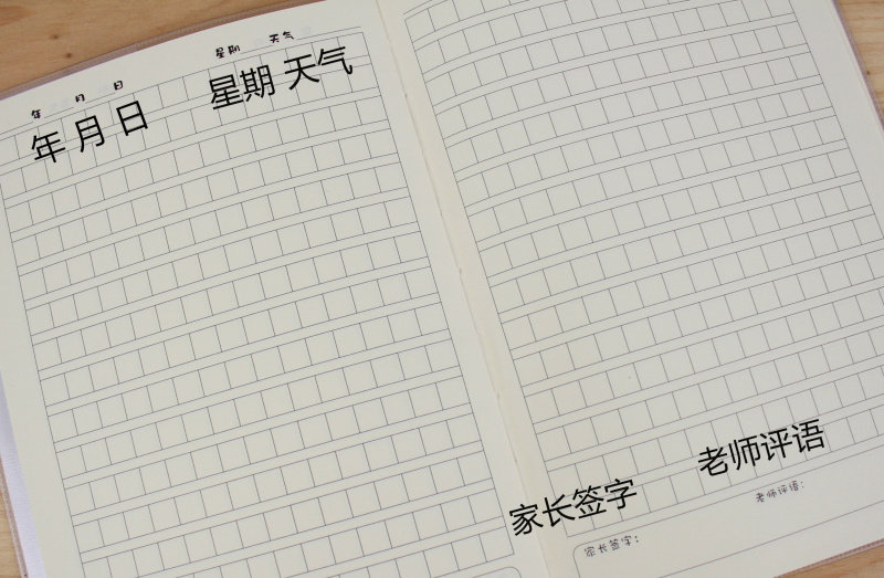 奖品作文_奖品作文_《奖品》作文