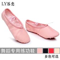Belly dance shoes Soft soled practice shoes Female adult ballet shoes Cat claw shoes Exam dance shoes Body yoga shoes
