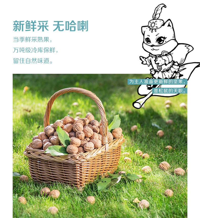 的新鲜采无哈喇当季鲜采熟果,万吨级冷库保鲜,留住自然味道。为主人准备更新鲜的坚果是松鼠的天职。-推好价 | 品质生活 精选好价