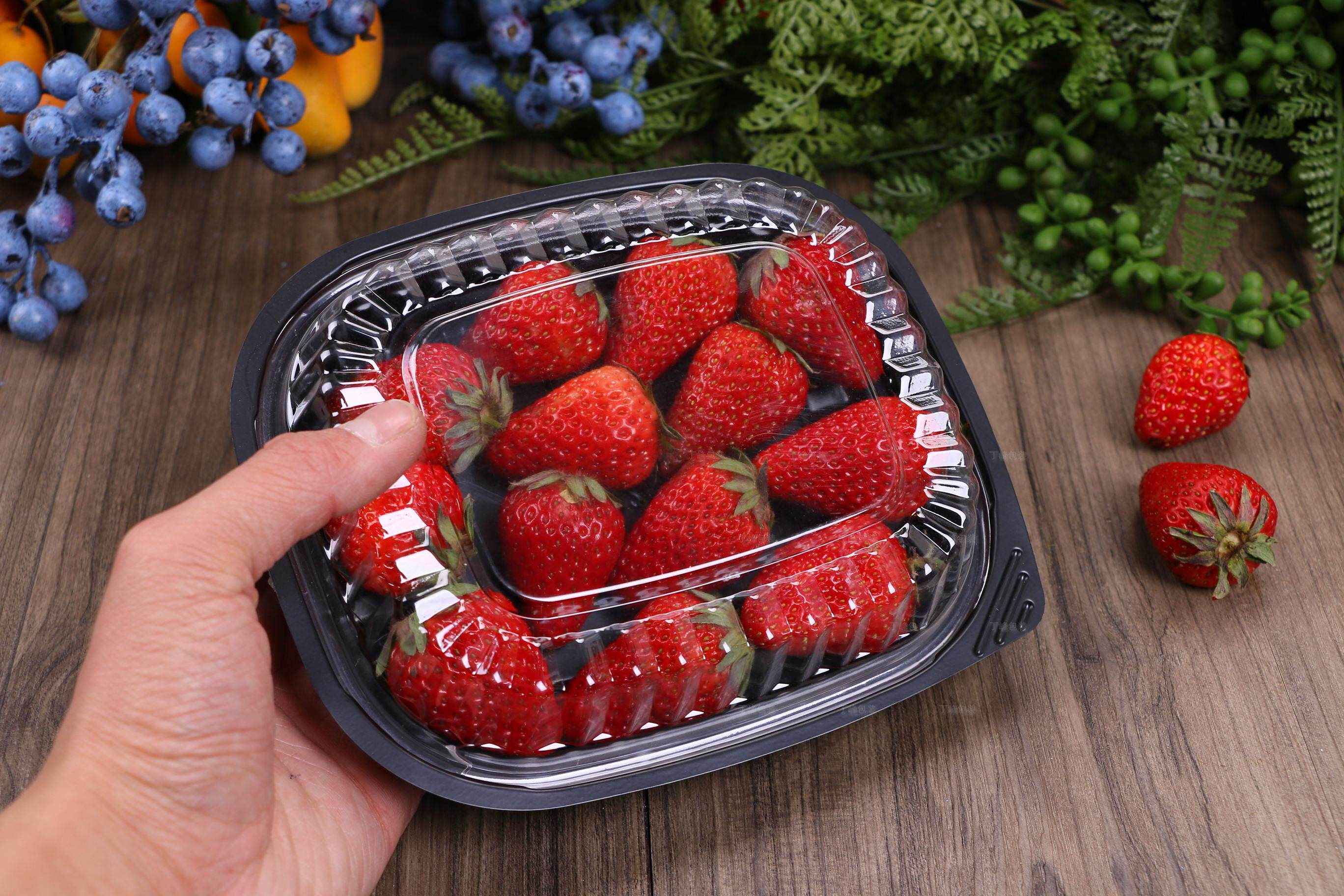 一次性黑底生鲜带盖蔬果盒250g切片水果盒樱桃车厘子水果捞100只