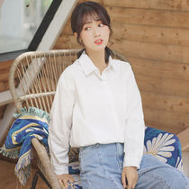 2019 New Spring and Autumn cotton white shirt female long sleeve boyfriend polo shirt students loose base shirt women tide