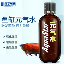 Pine dollar gas water probiotics yogurt aquarium aquarium nitrification bacteria anti-anorexia enhance physical fitness fish supplies