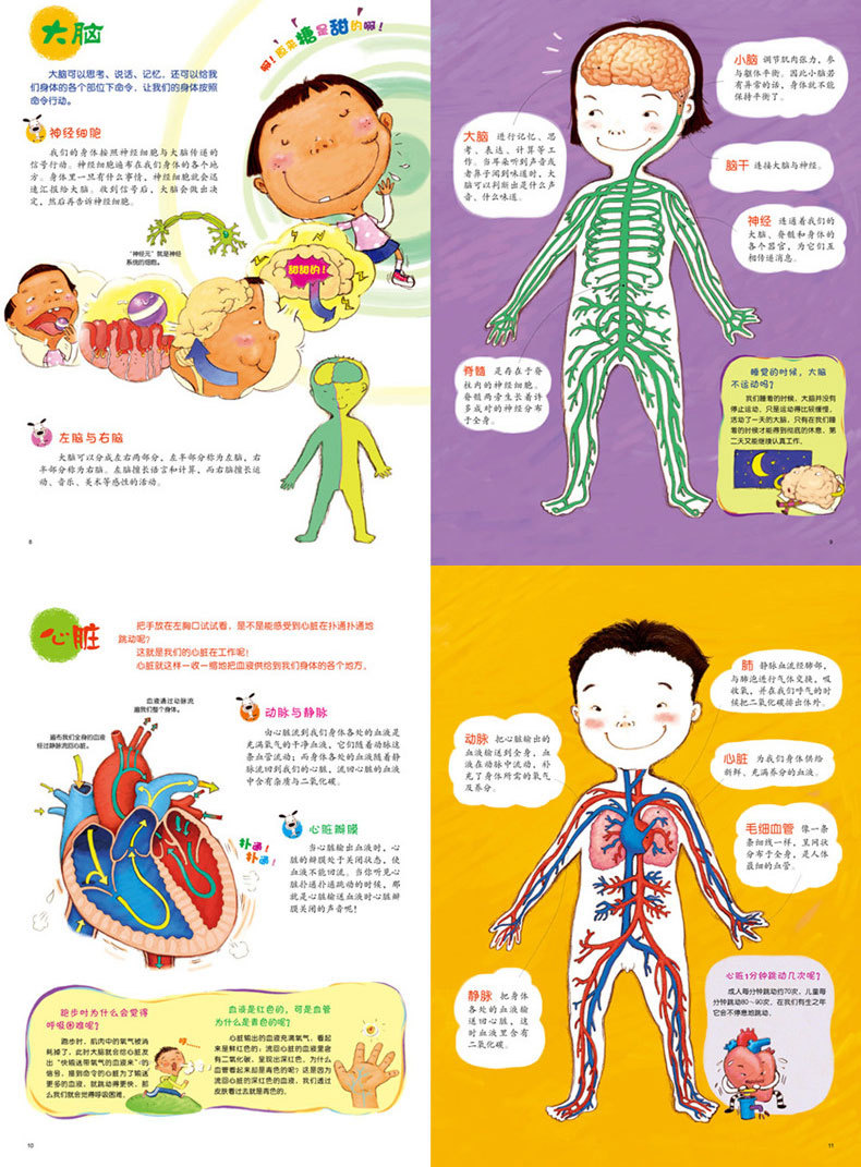 我可爱的身体 0-3-6岁幼儿童绘本图画书 幼儿身体的小秘密自我认知