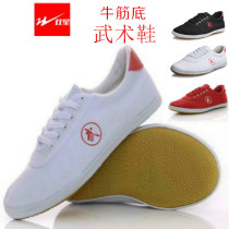 Double Star Martial Shoes Childrens Martial Art Taiji Shoes Men and Womens Anti-Slide Slide Shoes Training Shoes Small White Shoes
