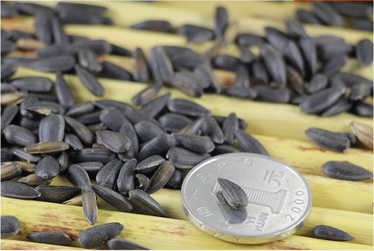 奶油味瓜子小油葵葵花籽500g黑珍珠小香瓜子2件包邮内蒙特产