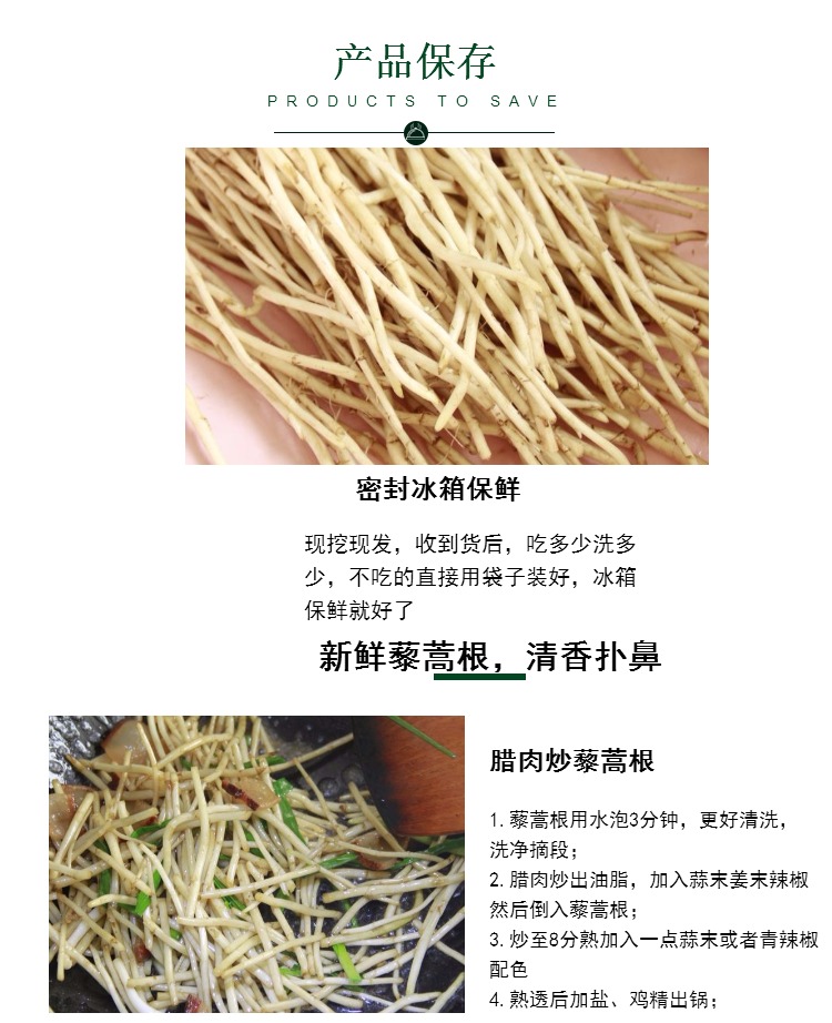 湖北特产农家新鲜藜蒿根泥蒿芦蒿根新鲜时苓蔬菜现挖年货5斤包邮