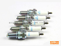 Jinpeng BJ500GS-A TRK502 500-6A 502C Cubs BJ500 NGK Spark Plug huo ju
