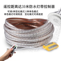 Outdoor rainproof lamp with controller plug connector companion wireless remote control LED colorful color change horse 220V