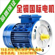 Three-phase aluminum shell motor YS80 0 90100 55 75 0 1 1 2 2 3 4KW motors 4 Class 1400 turn