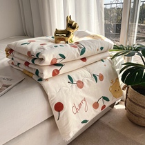 INS Wind Baby Grade All cotton printed soy protein is quilt core by students in spring and autumn