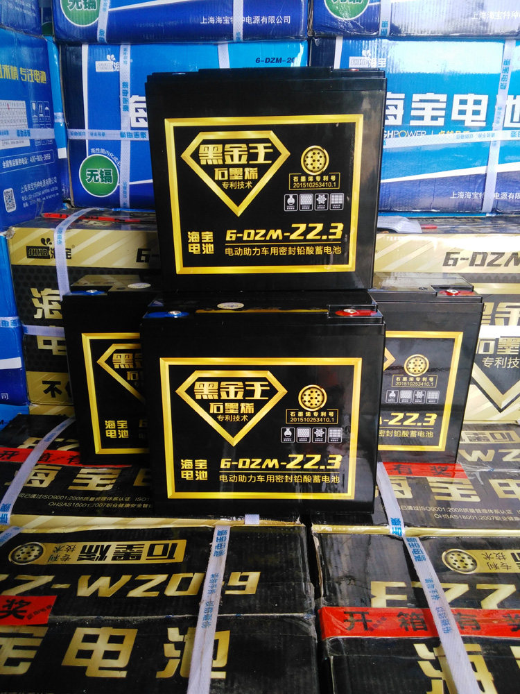 海宝黑金王 海宝电池 超威天能电动车电瓶 48V
