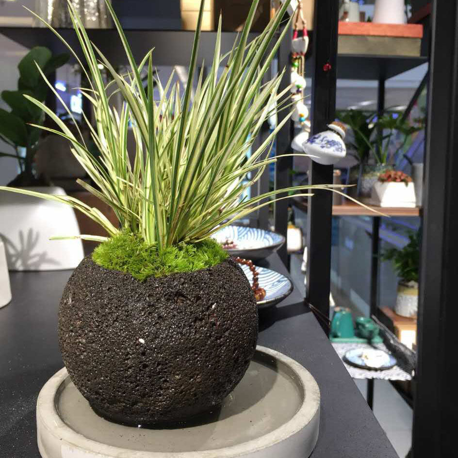 火山石花盆火山岩花盆腾冲天然石头圆球花盆多肉菖蒲盆小绿植盆