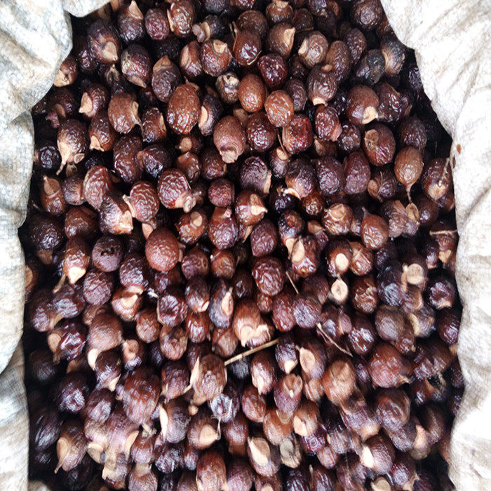 纯天然野生无患子圆皂角油皂角油患子肥皂果洗衣洗碗洗头做酵素