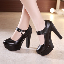 13CM hate sky high super high heels thick heels cheongsam single shoes women waterproof platform platform platform leather womens shoes