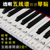 Electronic keyboard key sticker thin piano 88 keyboard sticker 54 keys 49 keys 32 keys transparent phonetic sticker 61 key sticker