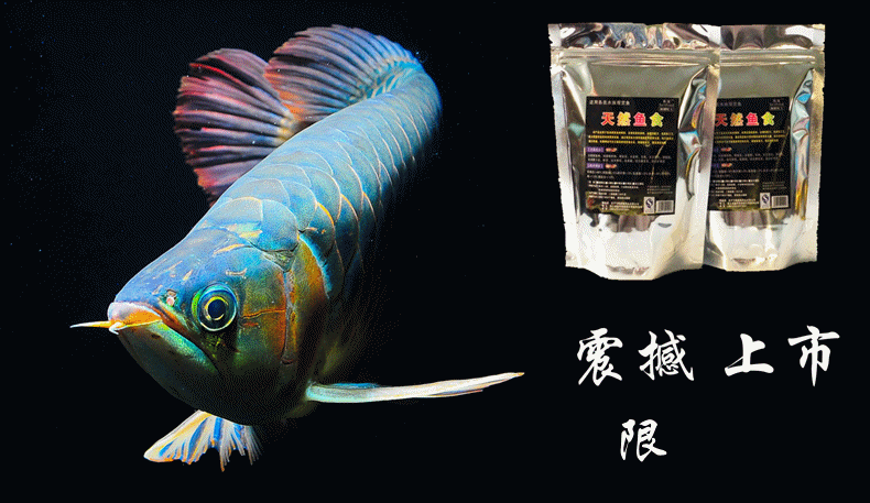 满包邮简装适用鱼粮鱼金鱼鱼食 通用型饲料颗粒型小型鱼海水鱼 50