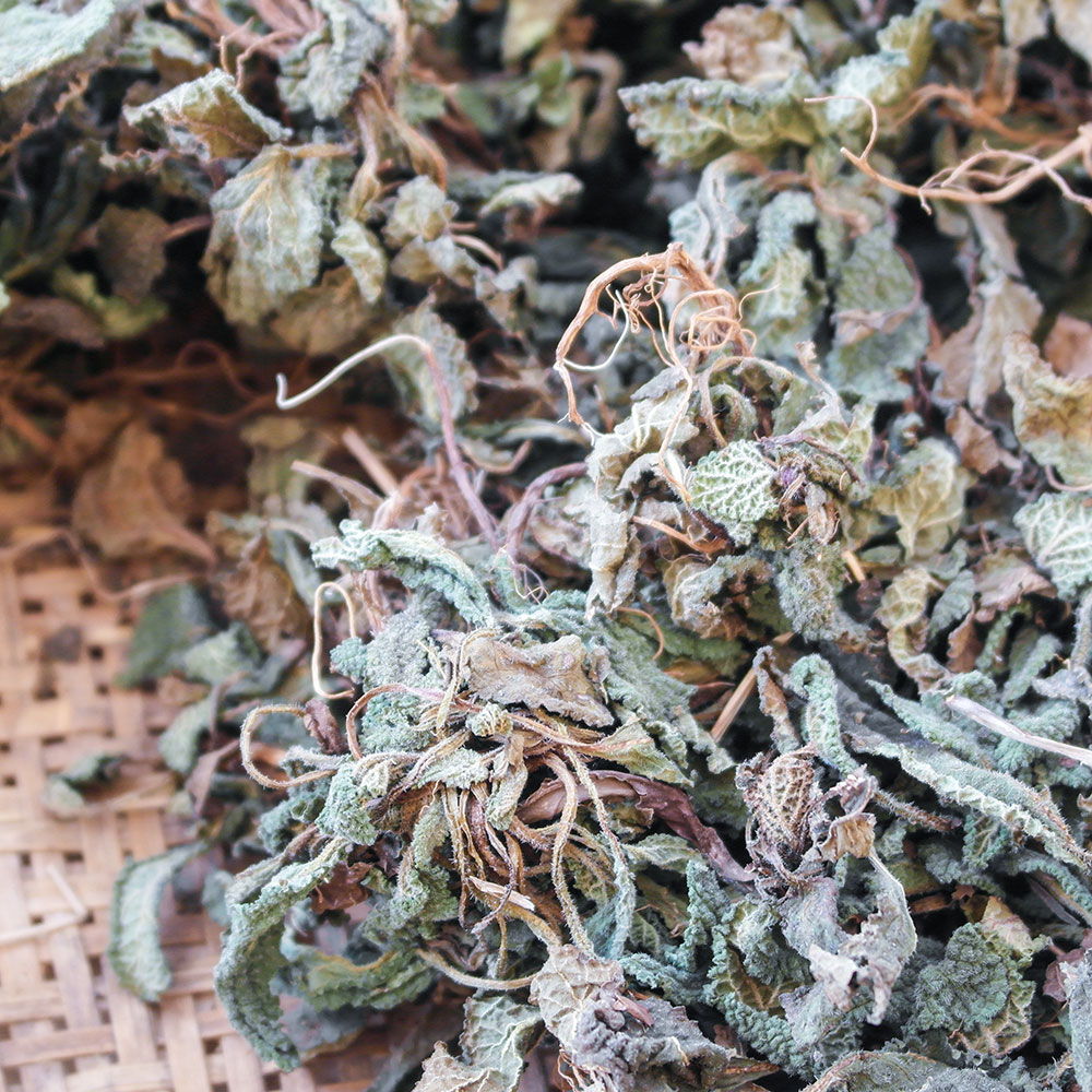 自然晒干干荔枝草雪见草啦癞蛤蟆草茶皱皮草野生青蛙草整棵全草_7折