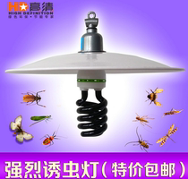 Black light lamp Insect trap lamp Agricultural insecticidal lamp Purple light banknote inspection lamp Curing lamp with waterproof lampshade