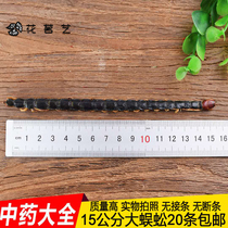 Chinese herbal centipede dried 15 cm large centipede can soak centipede wine Non-red counterfeit Vietnamese centipede