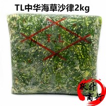 TL flavor pay seaweed Chinese seaweed salad sushi fresh Japanese wakame 2kg