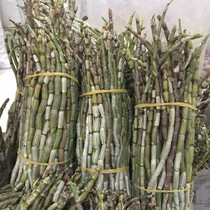 Yunnan Xishuangbanna Dendrobium officinale fresh strips for three years 500g fresh Dendrobium