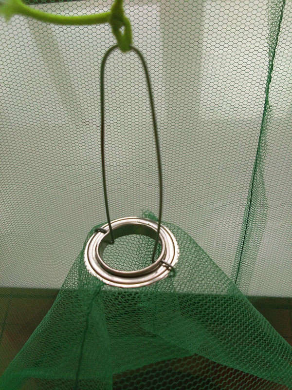 家用捕蝇器捕蝇笼扑苍蝇笼子捕蝇网捉苍蝇扑蝇器捕苍蝇神器