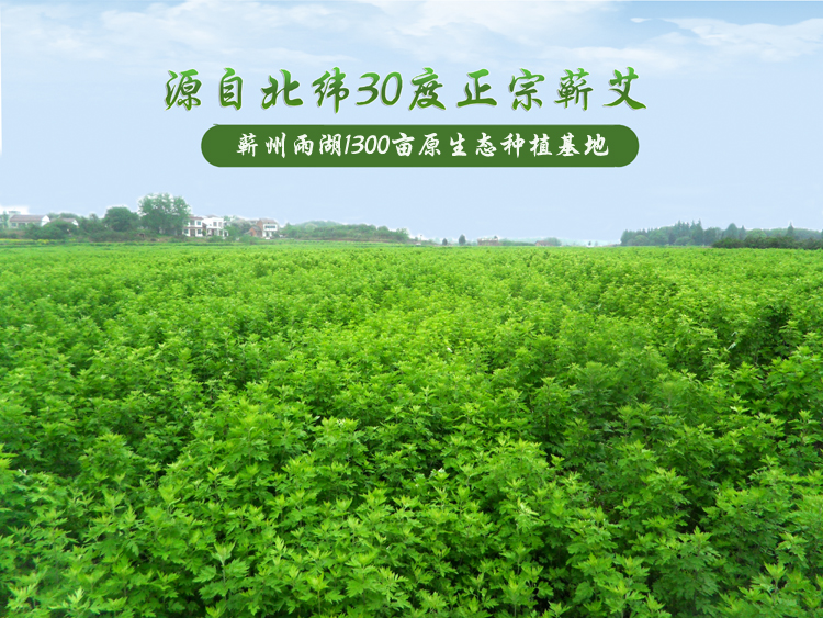 双氙商品详情 相关推荐 商品标签云 买过的人评价