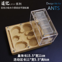 Pet Ant Remembrance 2011 Plaster Nest Bionic Acrylic Ant Nest Workshop Ant Villa