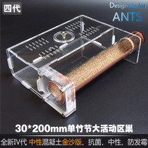 Pet Ant bionic bamboo nest increased activity area version 30mm Villa Ranch non-Ant Workshop Professional ant nest