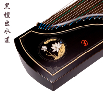 Dragon and Phoenix Guzheng Ebony out of water lotus in one step professional examination performance Zheng junior examination