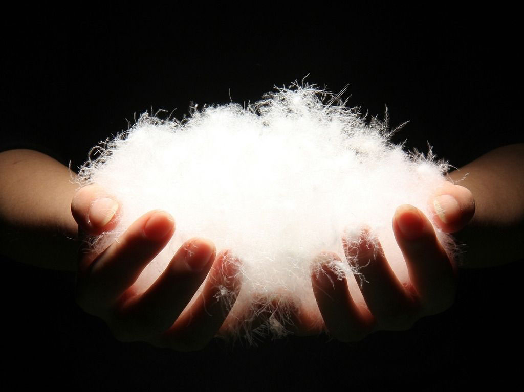 羽绒服里白鸭绒好还是灰鸭绒好-趣美搭