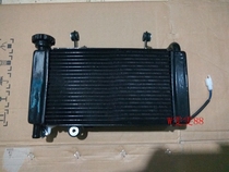 Domestically Produced Sports Car Treasure BMW Double R Yongyuan War Hayabusa Little Ninja Winged Tiger Sports Car Accessories 250350 Water tank