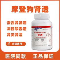 moddern dog Morden dog kidney overdraft improves kidney metabolism high blood phosphorus reduces urea ammonia cat dog kidney failure