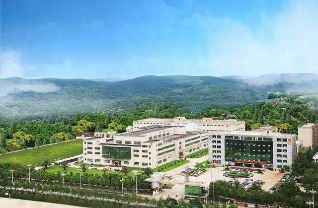 好茶当有龙润茶:不忘初心,创新未来!